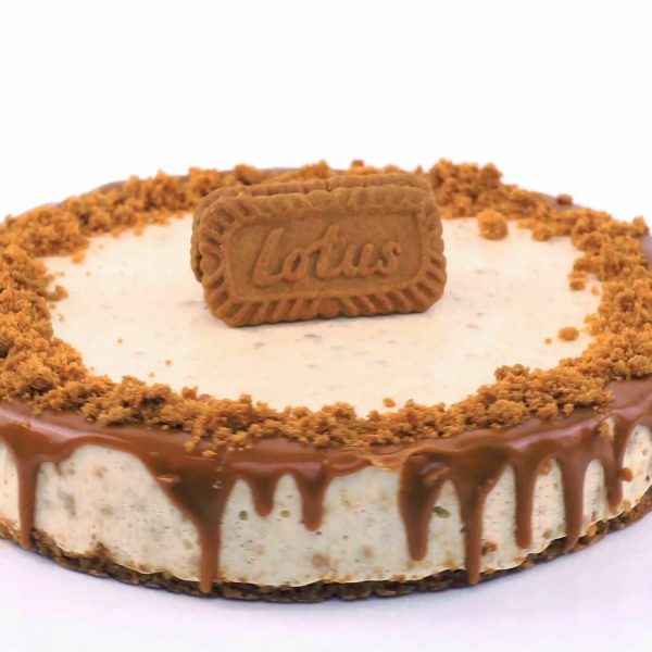 06_Lotus_cheeseCake 06_Lotus_cheeseCake