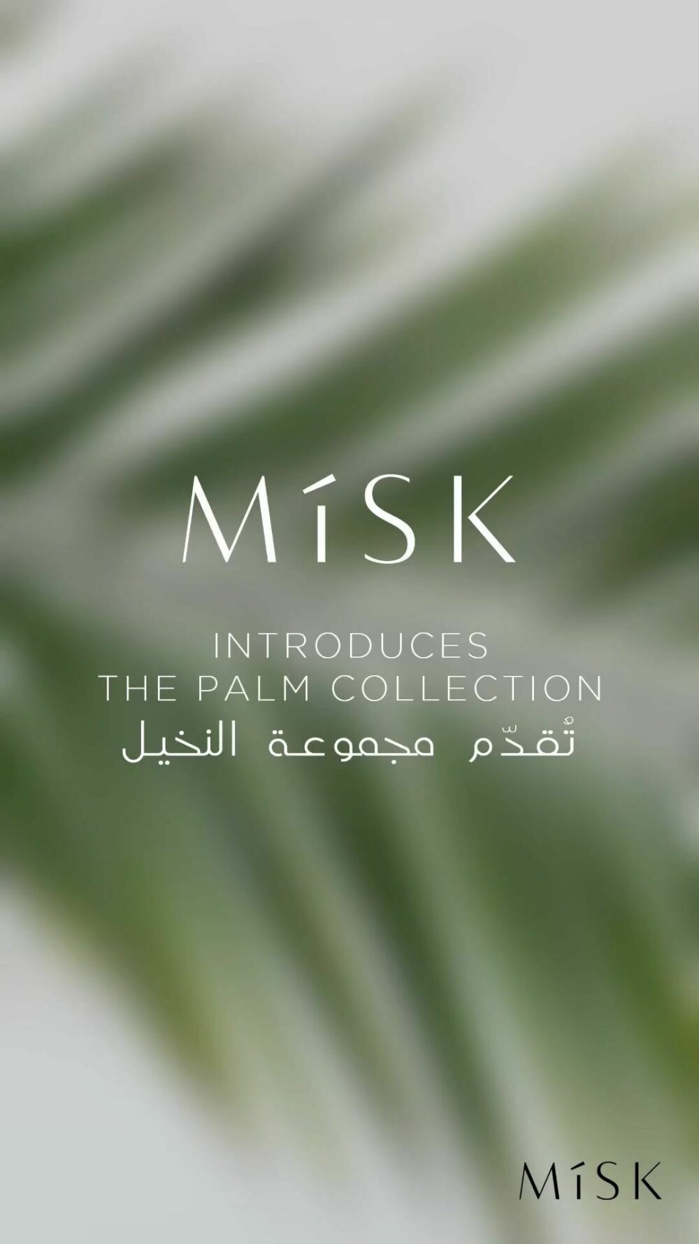 MISK_NEW_3_Separate MISK_NEW_3_Separate